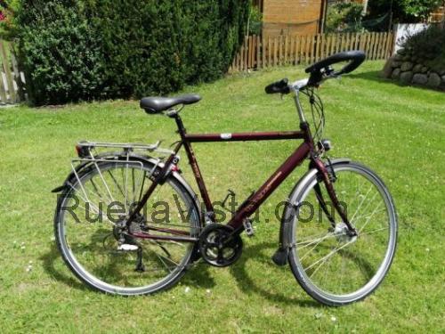 Koga Miyata GlobeTraveller ficha técnica y opiniones